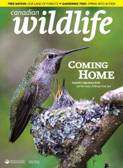 Canadian Wildlife – March April 2021
