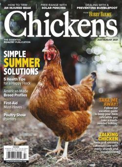 Chickens – July-August 2021