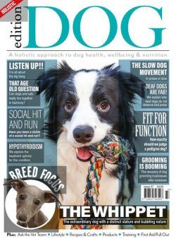 Edition Dog – Issue 26 – 24 December 2020