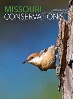 Missouri Conservationist – April 2021