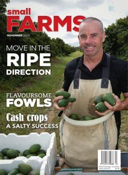 Small Farms – November 2020