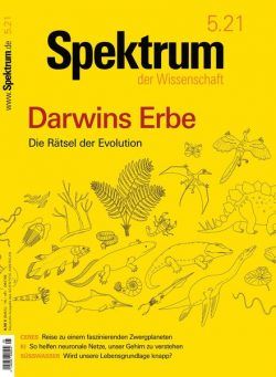 Spektrum der Wissenschaft – 17 April 2021