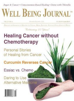 Well Being Journal – November-December 2016