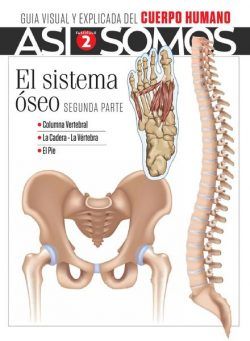 Asi Somos – El cuerpo humano – abril 2021