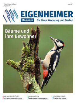 Eigenheimer aktuell – Juni 2021