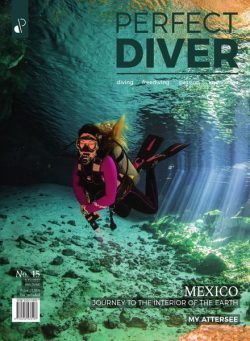 Perfect Diver – May-June 2021