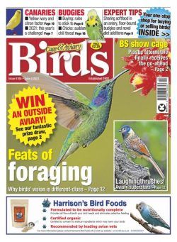 Cage & Aviary Birds – June 2021
