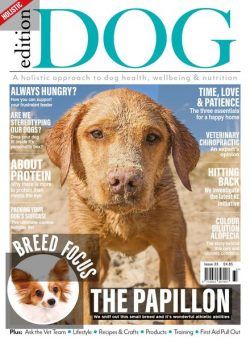Edition Dog – Issue 33 – June 2021