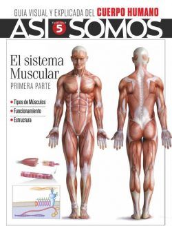 Asi Somos – El cuerpo humano – julio 2021