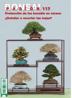 Bonsai Pasion – agosto 2021