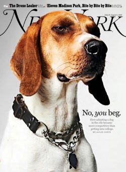 New York Magazine – July 19, 2021