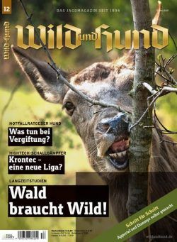 Wild und Hund – 17 Juni 2021