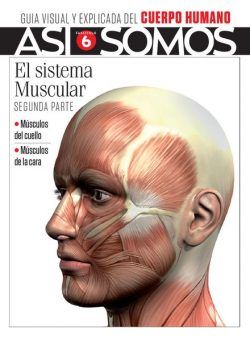 Asi Somos – El cuerpo humano – agosto 2021