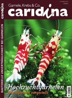 Caridina – Nr.3 2021