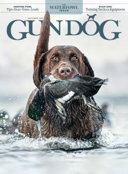 Gun Dog – October 2021