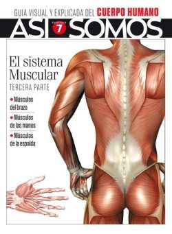 Asi Somos – El cuerpo humano – septiembre 2021