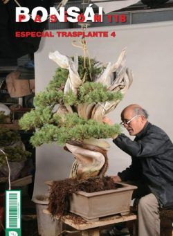 Bonsai Pasion – octubre 2021