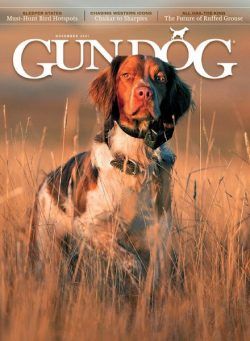 Gun Dog – November 2021