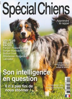 Special Chiens – Octobre-Decembre 2021