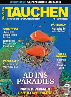 Tauchen – November 2021