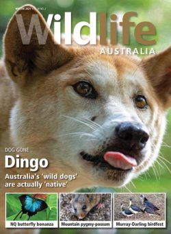 Wildlife Australia – Volume 58 N 2 – Winter 2021