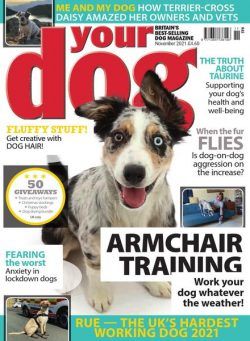 Your Dog – November 2021