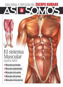 Asi Somos – El cuerpo humano – octubre 2021