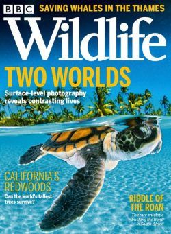 BBC Wildlife – October 2021