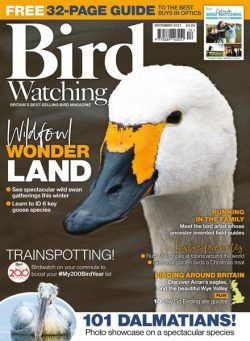 Bird Watching UK – December 2021