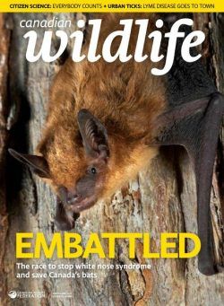 Canadian Wildlife – March-April 2020