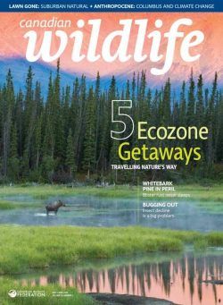 Canadian Wildlife – May-June 2019