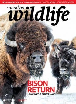 Canadian Wildlife – November-December 2019