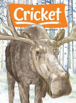 Cricket – November 2021