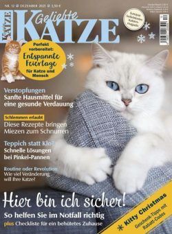 Geliebte Katze – Dezember 2021