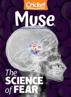 Muse – October 2021