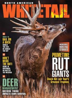 North American Whitetail – November 2021