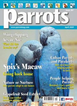 Parrots – April 2020