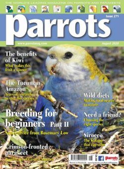 Parrots – August 2020