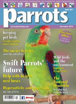 Parrots – December 2019