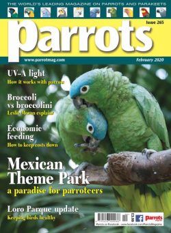 Parrots – February 2020