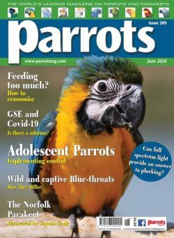Parrots – June 2020
