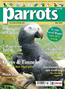 Parrots – May 2020