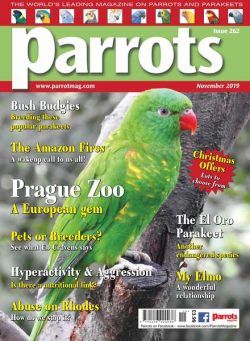 Parrots – November 2019