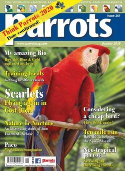 Parrots – October 2019