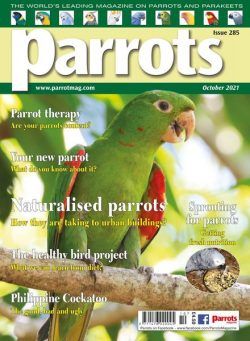 Parrots – October 2021