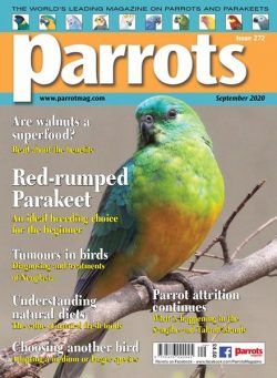 Parrots – September 2020