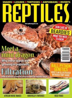 Reptiles – July-August 2020