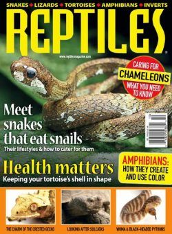 Reptiles – September-October 2020