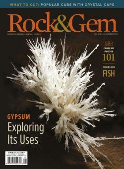 Rock & Gem – November 2021