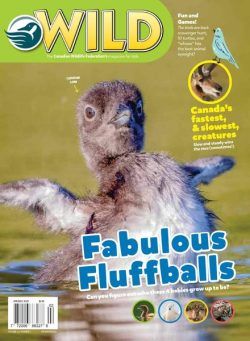 Wild Magazine for Kids – April-May 2020